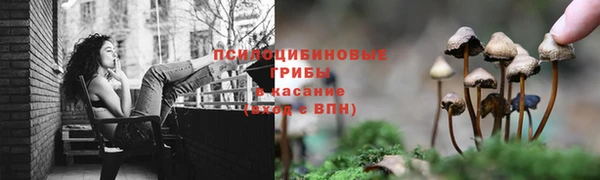 2c-b Медвежьегорск