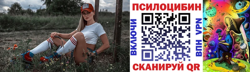 Галлюциногенные грибы Psilocybine cubensis  Череповец 